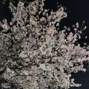 여주-0421 네이버블로그