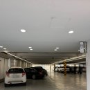 메이 | 대구 웨딩홀 마리드메이 후기 뷔페 주차 정보