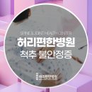 척추편한세상 이미지