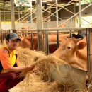 백두축산 이미지