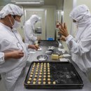 래그랜느보호작업장 이미지