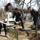 희망나무심기2 이미지