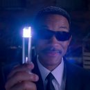 비아제주스테이 이미지