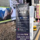이안애 | 강남 사주카페 이안애 신년운세 사주 본 솔직 후기