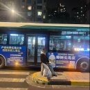 아나봄 펫살롱 | 우정 상해여행 후기: 2부