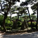 태학산자연휴양림 이미지