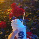 미니스톱 대구계명대역점 | [9.24]수성못 축제 사람 많다