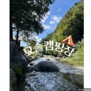 묘솔 이미지