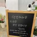 엔젤로니아플라워 이미지