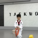 힘차리 태권도장 이미지