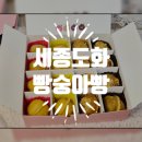 딩동세종 협동조합 | 세종디저트맛집 세종도화 ! 빵숭아빵 택배로 받아본 후기 !
