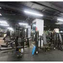 양재첫걸음 이미지