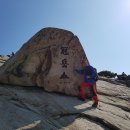삼공사공 이미지