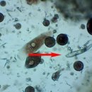 24시 웰니스 동물 의료센터 이미지