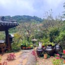 약식동원 다루야 이미지