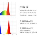 지엔에스코리아