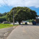 신흥마을영농조합법인 이미지