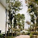 남지정기시장 이미지