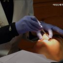 여의도예치과의원 이미지