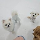 행복을 배우는 공간 이미지