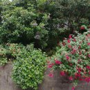 응접실 당구장 이미지