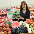 하나로할인마트 이미지