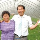 만민농장 이미지