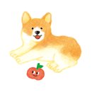 다미살롱 이미지