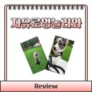 자유로멍놀러와 애견테마파크 방문!