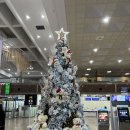 WR(부산광역시 강서구)-[공항로]-상-14 | | 2022 제주 | #1 렌트카/슬로보트/모이소/달소금식탁/뽈살집