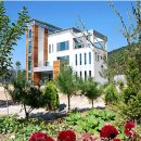 가평연리지 이미지