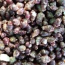 광수농장2 이미지