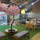 안경백화점 터미널점 이미지