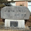 인천부마초등학교 졸업식 동정 이미지