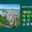 숲속의 아침 이미지