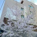 명사한의원 이미지