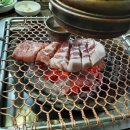 제주흙돼지 이미지