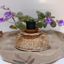 타우르스 이미지