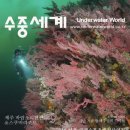 스쿠버208 이미지