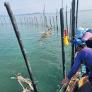 무안낙지 이미지