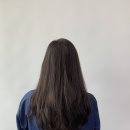 프린스미용실 - 영천시 | 프린스미용실
