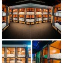 여행 숙소🇦🇺 골드코스트 후기 모음 – Bunk Surfers...Capsule Accom 벙크, 메이즈, 캡슐어콤 가격, 장단점