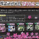 3월 28일(화)14:00 구로올레길1코스 계남근린공원 걷기 이미지