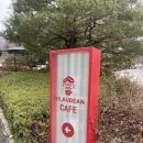 닥터오빈