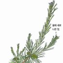 중앙 이미지