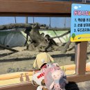 산토끼노래동산 | 창녕 아이와 가볼만한 곳, 산토끼노래동산