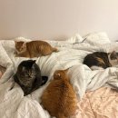 노래와 함께 하는 친절학 개론 | 오만가지 생각이 다 들어도 내가 가야 할 곳이 보여