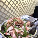 박세용농장 | 2022.10 이후 기록