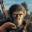 프리뷰(Freeview) | 혹성탈출 시리즈 새로운 시대 결말 FREEVIEW CGV 후기 시저