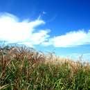 탑산농장 이미지